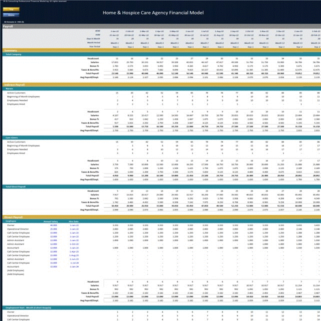 Hospice & Home Care Agency - Dynamic 10 Year Financial Model (Excel template (XLSX)) Preview Image