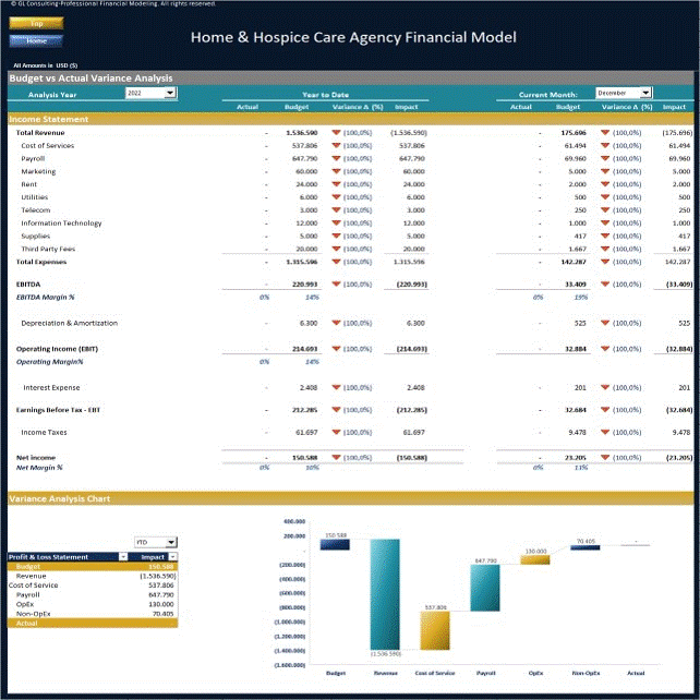 Hospice & Home Care Agency - Dynamic 10 Year Financial Model (Excel template (XLSX)) Preview Image