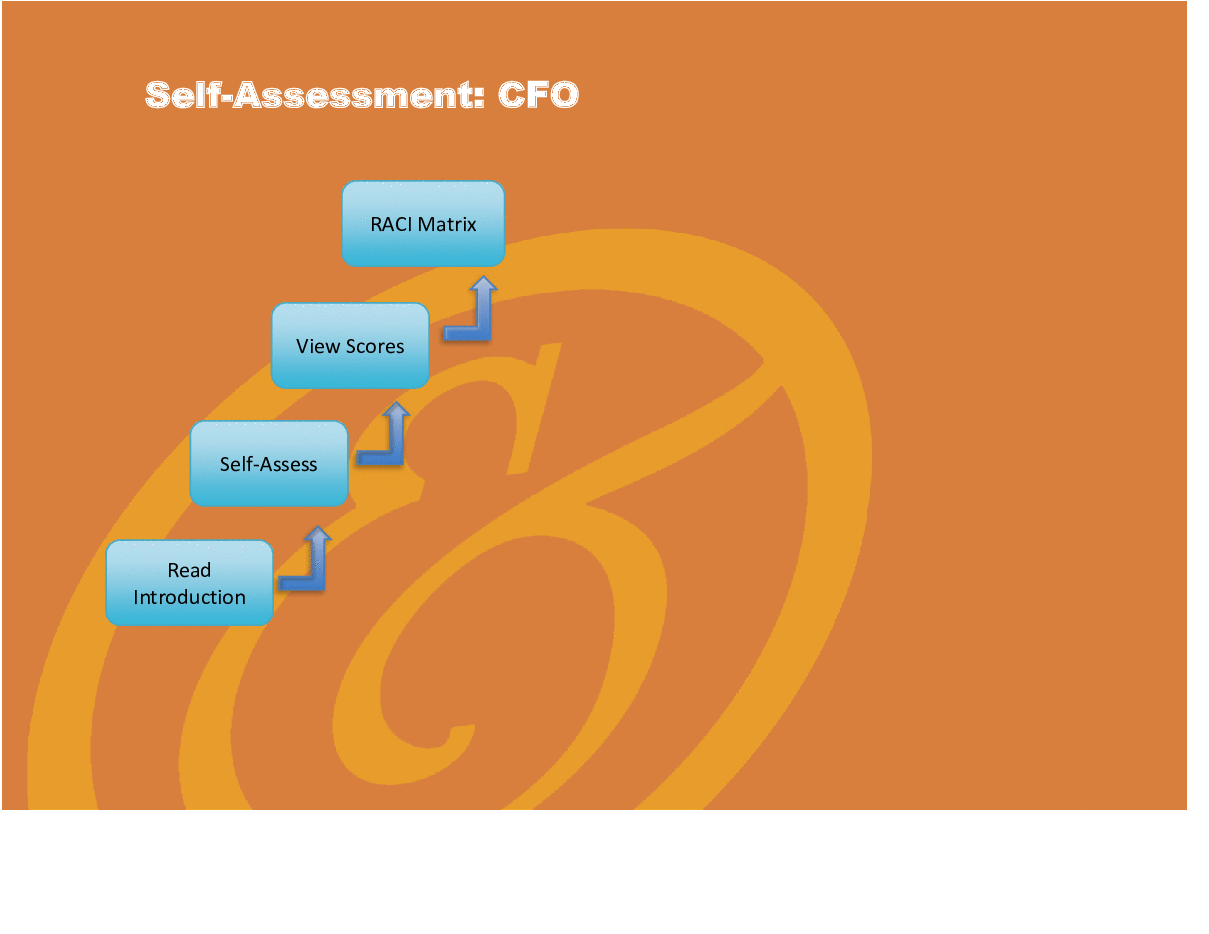 This is a partial preview of Chief Financial Officer (CFO) - Implementation Toolkit (Excel workbook (XLSX)). 