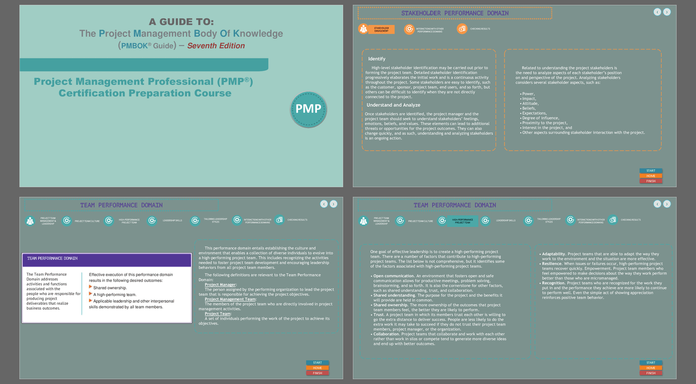 Project Management - Eight Performance Domains