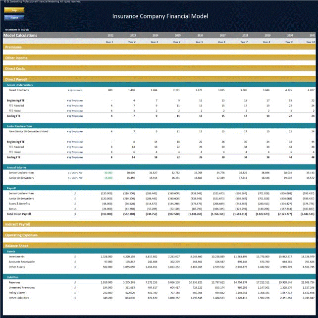 Insurance Company Financial Model - Dynamic 10 Year Forecast (Excel template (XLSX)) Preview Image