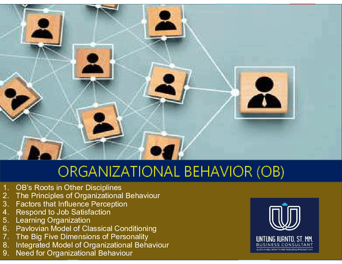 Organizational Behavior (OB)