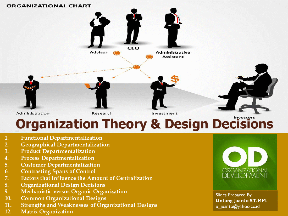 Organization Theory