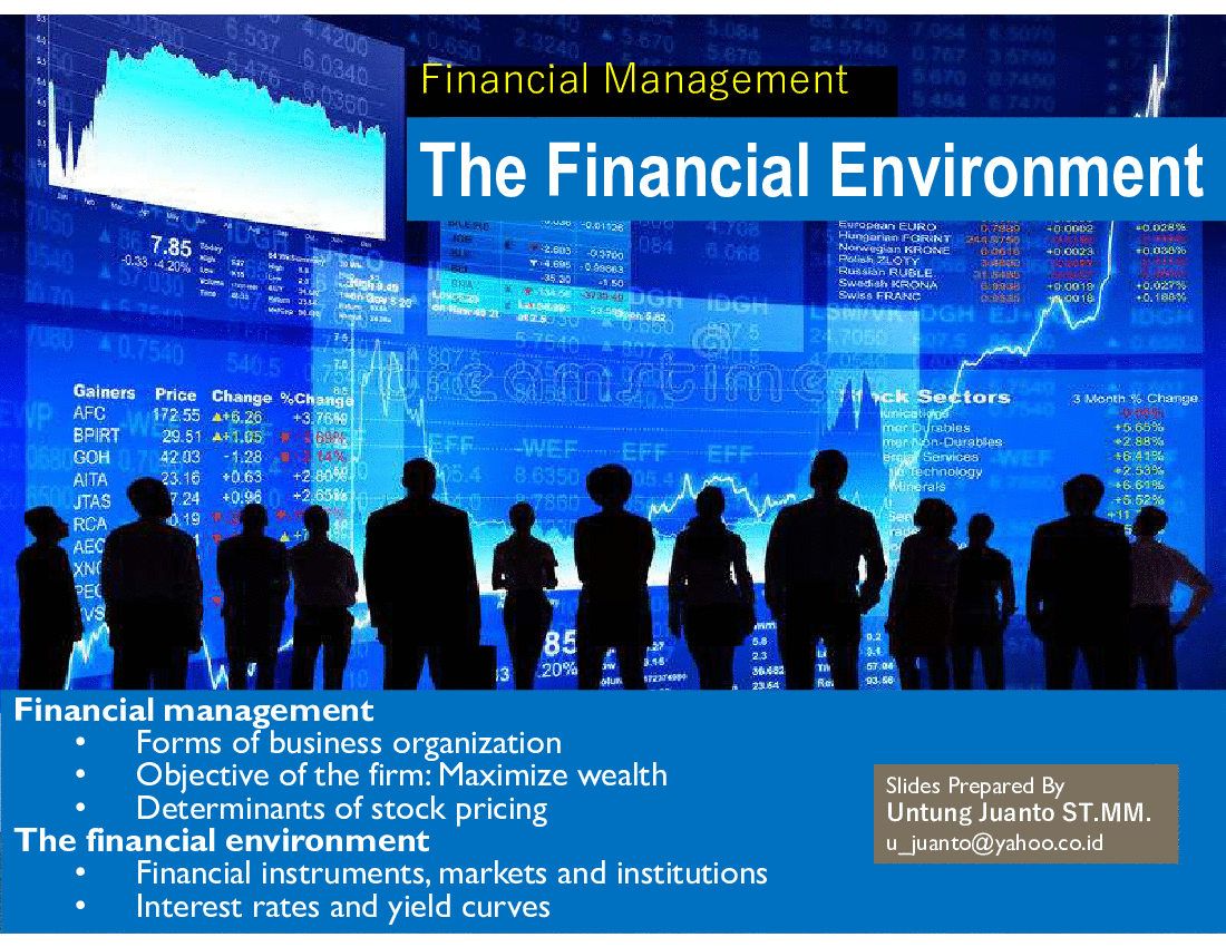 This is a partial preview of The Financial Environment (52-slide PowerPoint presentation (PPT)). Full document is 52 slides. 