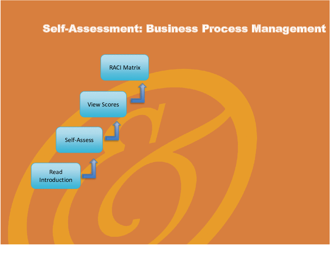 Business Process Management (BPM) - Implementation Toolkit