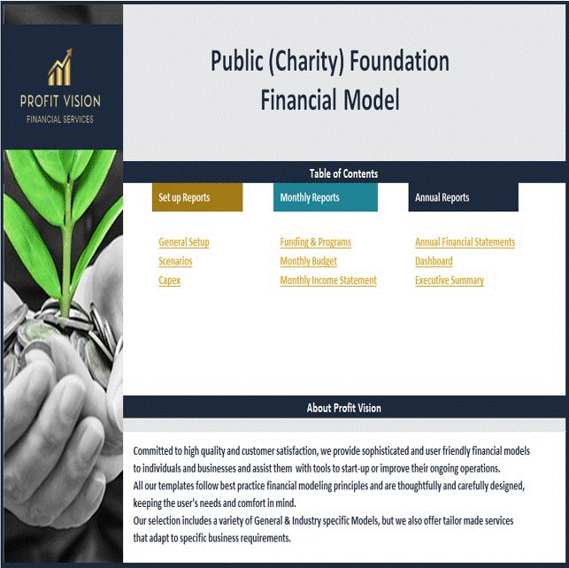 This is a partial preview of Public (Charity) Foundation Financial Model (Excel workbook (XLSX)). 