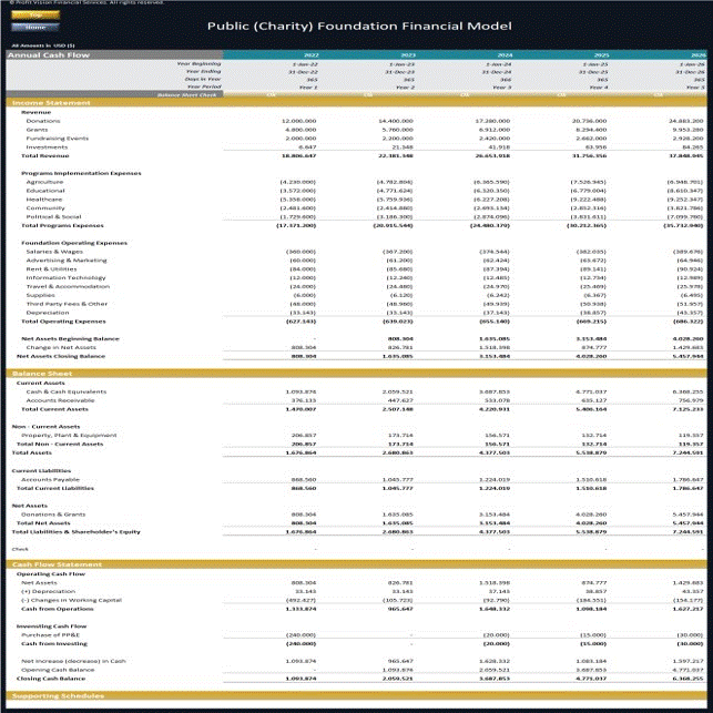 Public (Charity) Foundation Financial Model (Excel template (XLSX)) Preview Image