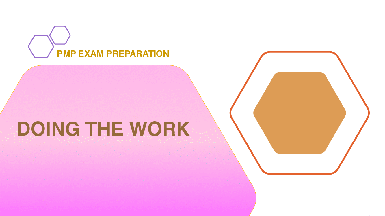 PMP Exam Preparation - Doing the Work