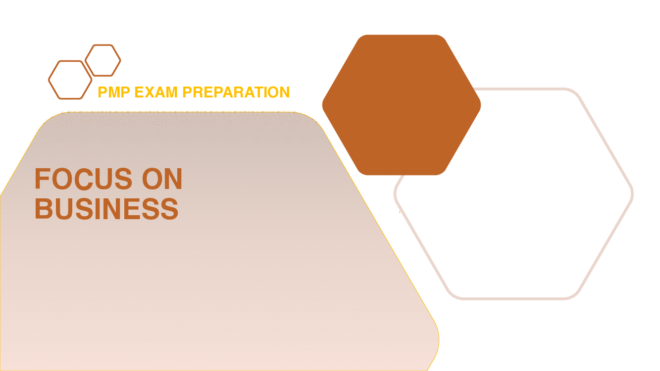 PMP Exam Preparation - Focus On Business (104-page PDF document) Preview Image