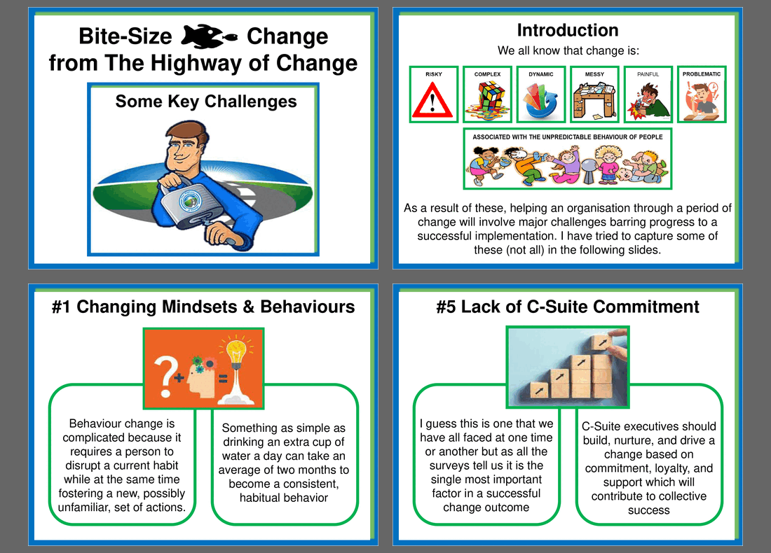 Bite-Size Change - Main Change Challenges (16-slide PPT PowerPoint presentation (PPT)) Preview Image