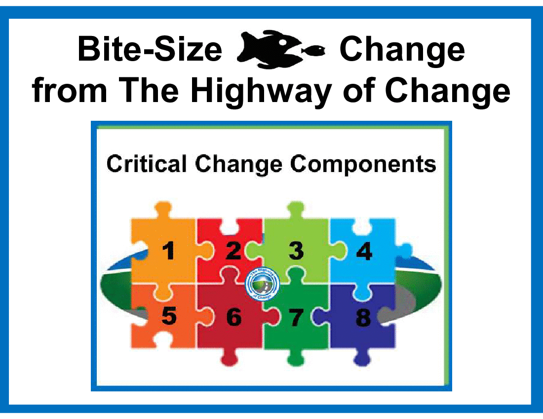 This is a partial preview of Bite-Size Change - Critical Change Components (14-slide PowerPoint presentation (PPT)). Full document is 14 slides. 