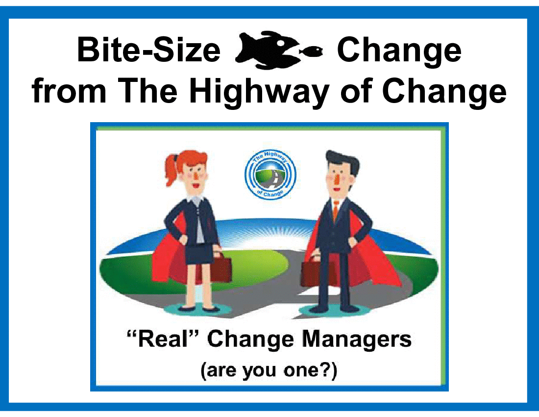 Bite-Size Change - Real Change Managers (16-slide PPT PowerPoint presentation (PPT)) Preview Image