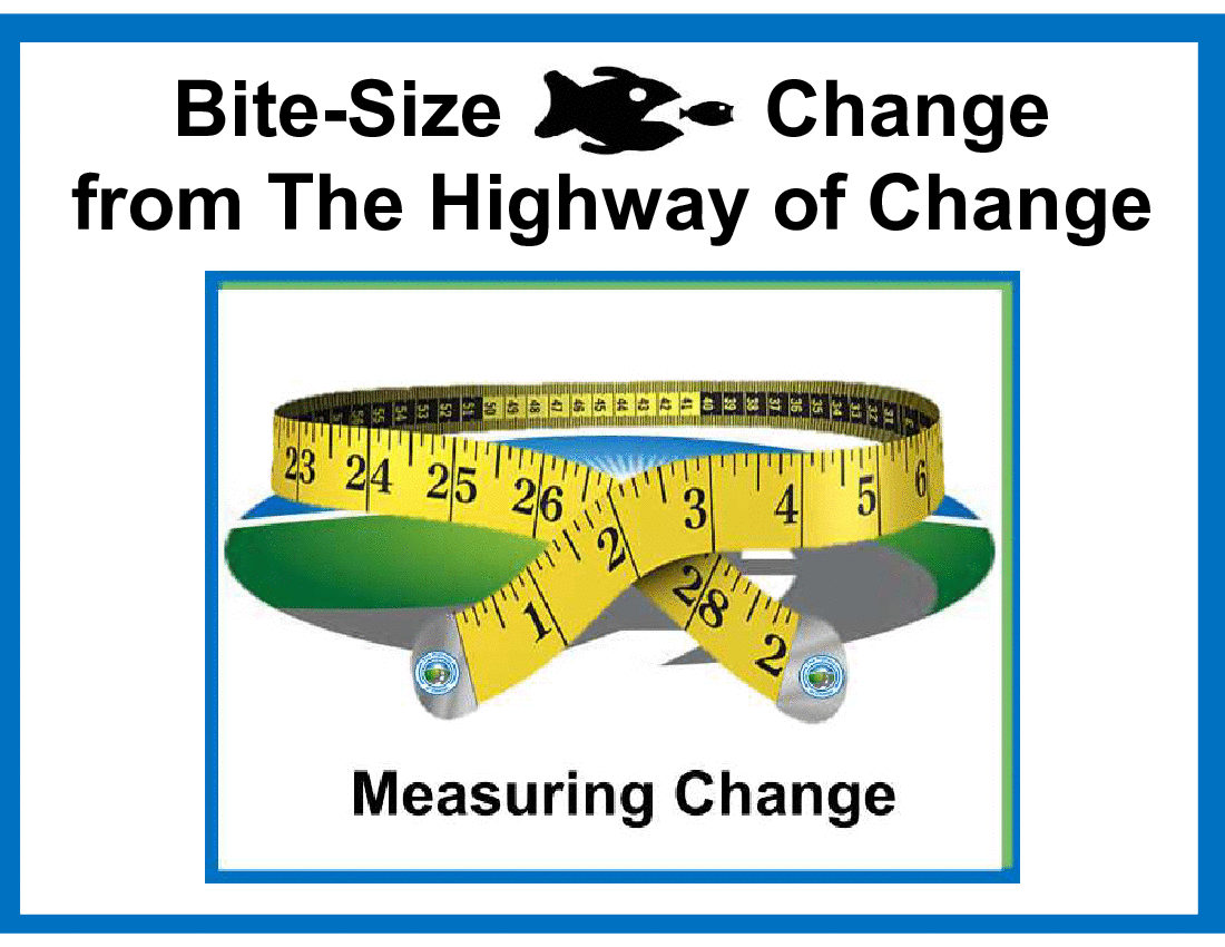 This is a partial preview of Bite-Size Change - Measuring Change (16-slide PowerPoint presentation (PPT)). Full document is 16 slides. 