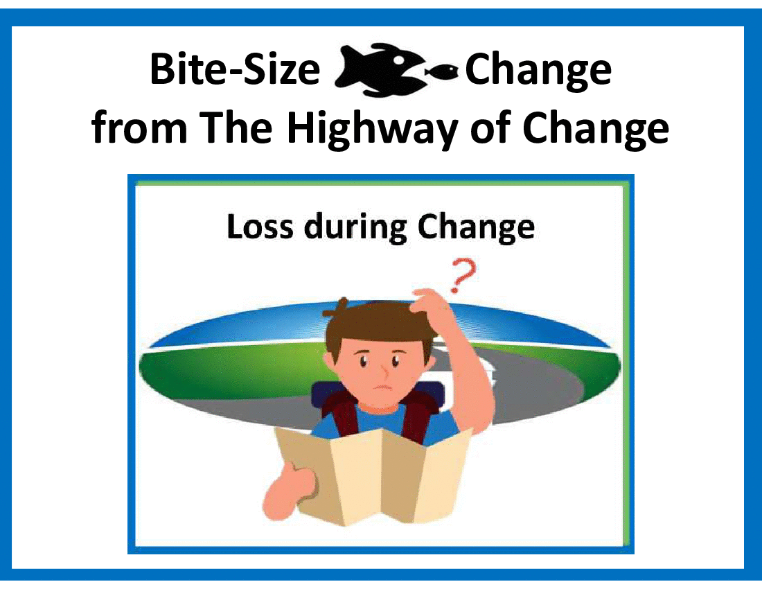 This is a partial preview of Bite-Size Change - Loss during Change (12-slide PowerPoint presentation (PPTX)). Full document is 12 slides. 