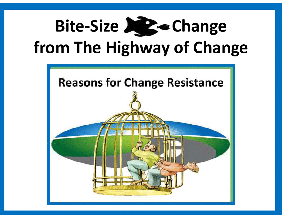 Bite-Size Change - Reasons for Change Resistance (14-slide PPT PowerPoint presentation (PPTX)) Preview Image