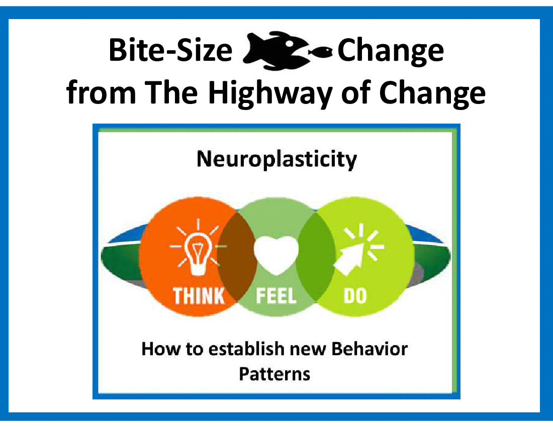 Bite-Size Change - Neuroplasticity (14-slide PPT PowerPoint presentation (PPTX)) Preview Image