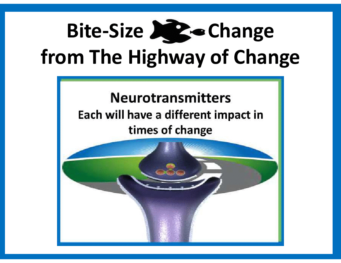 This is a partial preview of Bite-Size Change - Neurotransmitters (14-slide PowerPoint presentation (PPTX)). Full document is 14 slides. 
