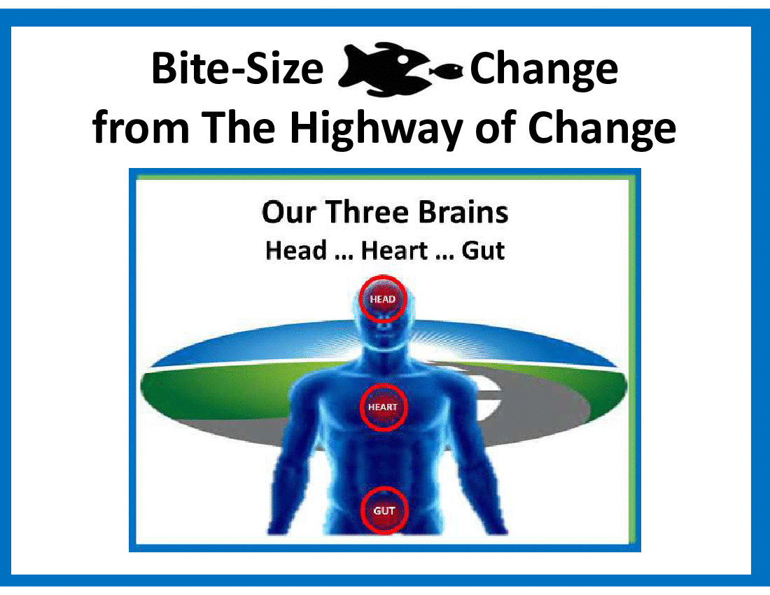 This is a partial preview of Bite-Size Change - Our Three Brains (10-slide PowerPoint presentation (PPTX)). Full document is 10 slides. 
