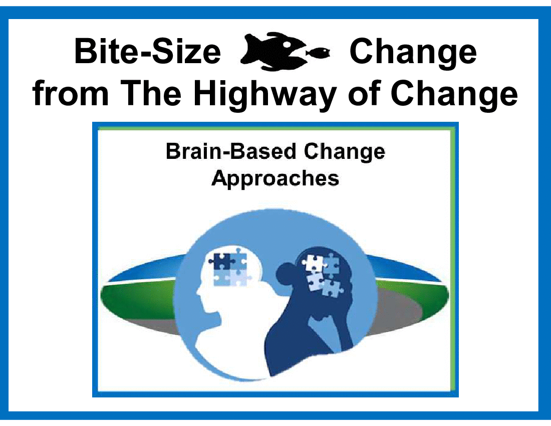Bite-Size Change - Brain-Based Change Approaches (16-slide PPT PowerPoint presentation (PPT)) Preview Image