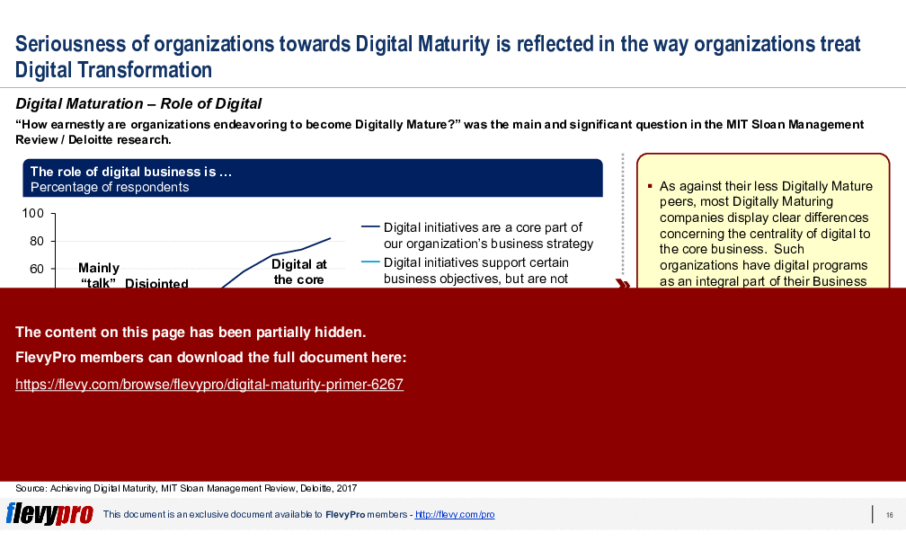Digital Maturity Primer (29-slide PPT PowerPoint presentation (PPTX)) Preview Image