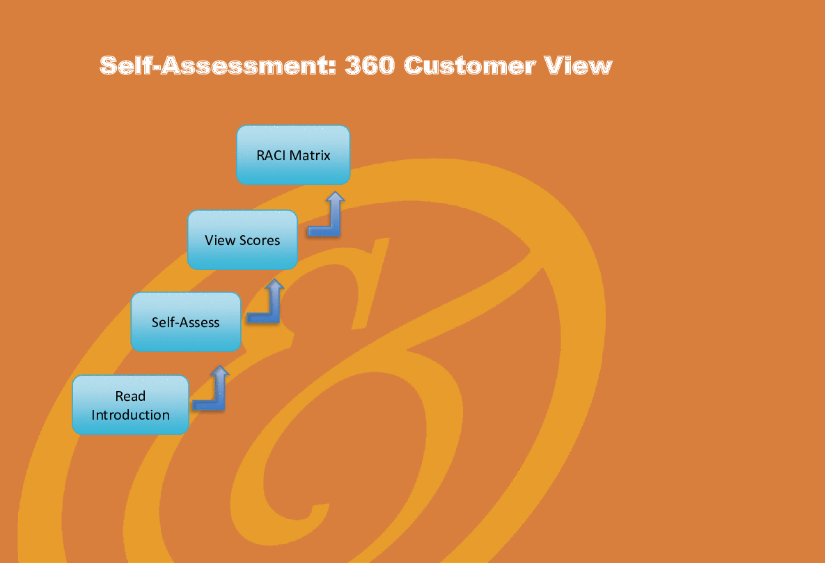 360 Customer View - Implementation Toolkit (Excel template (XLSX)) Preview Image