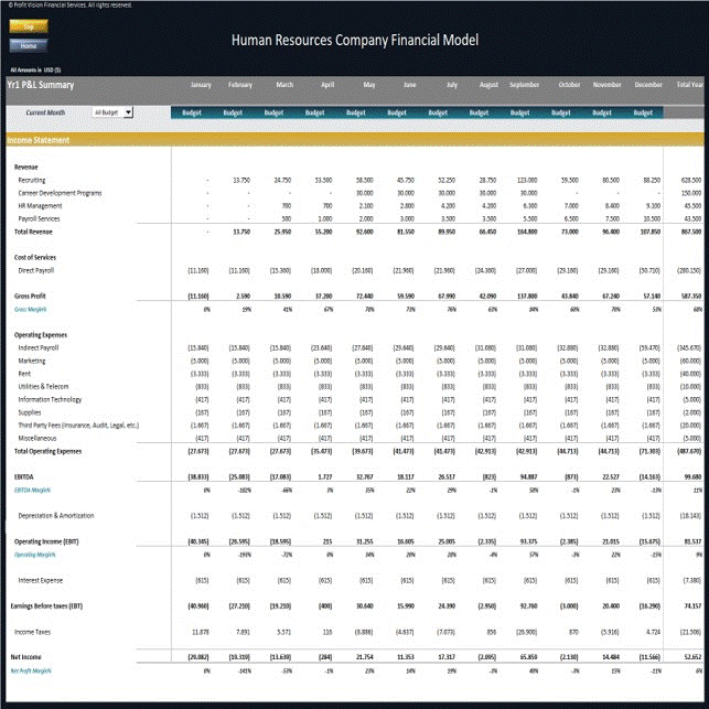 Human Resources Company - Dynamic 10 Year Financial Model (Excel template (XLSX)) Preview Image