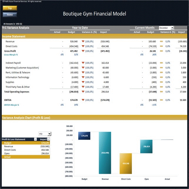 Boutique Gym Financial Model – Dynamic 10 Year Forecast (Excel template (XLSX)) Preview Image