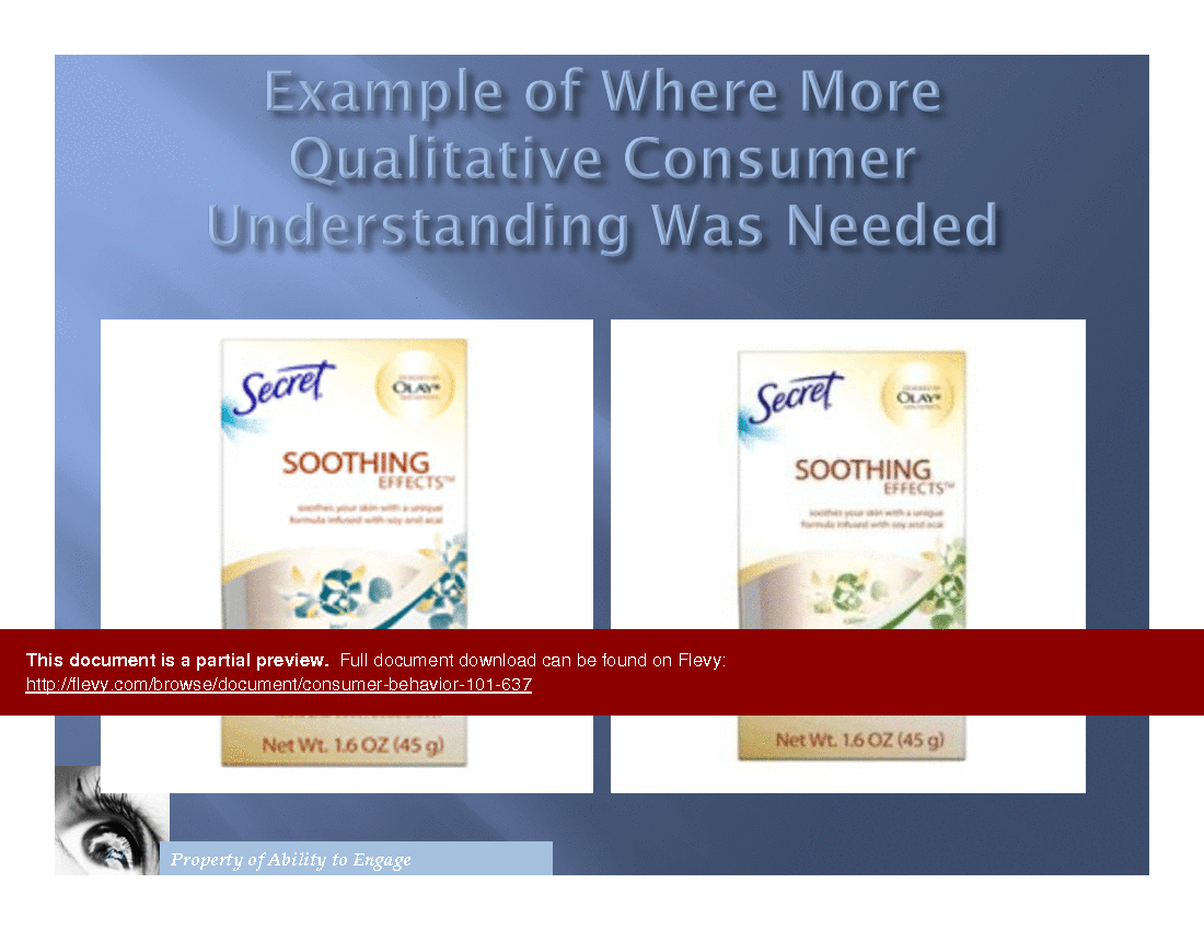 Consumer Behavior 101 (14-page PDF document) Preview Image