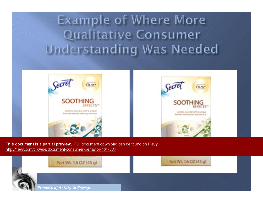 Consumer Behavior 101 () Preview Image