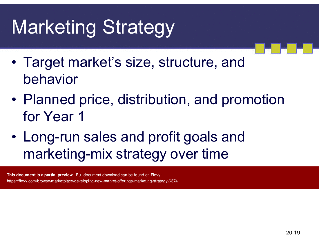 Developing New Market Offerings (Marketing Strategy) (34-slide PPT PowerPoint presentation (PPT)) Preview Image