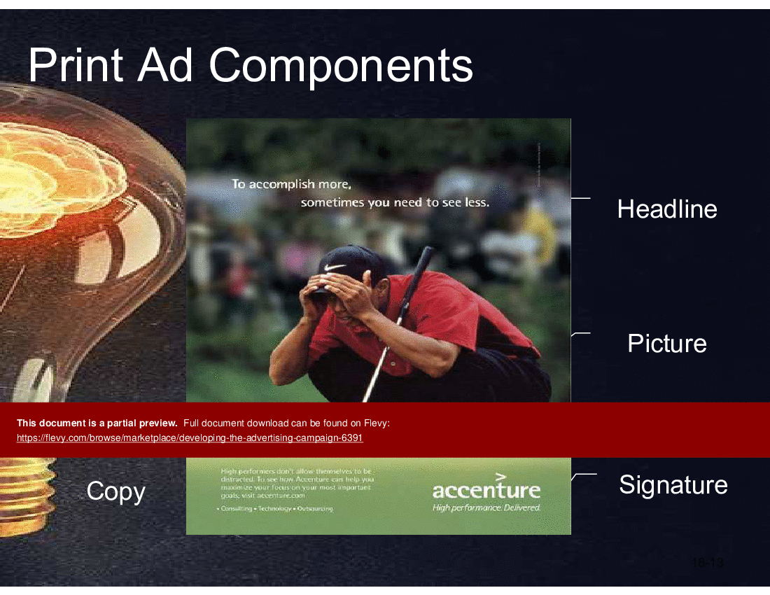 This is a partial preview of Developing  The Advertising Campaign (62-slide PowerPoint presentation (PPT)). Full document is 62 slides. 