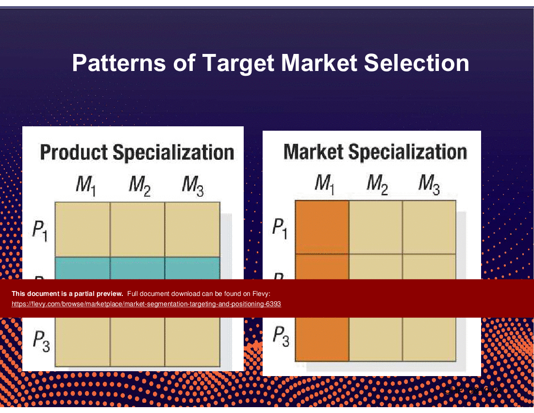 Market Segmentation, Targeting, and Positioning (35-slide PPT PowerPoint presentation (PPT)) Preview Image