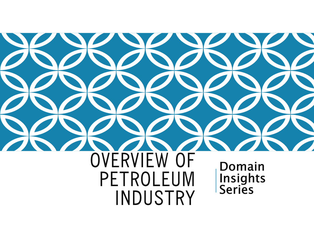 This is a partial preview of Domain Insights - Petroleum Industry (42-slide PowerPoint presentation (PPTX)). Full document is 42 slides. 