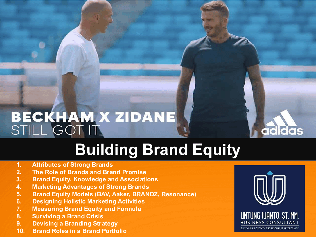 Building Brand Equity (44-slide PPT PowerPoint presentation (PPT)) Preview Image