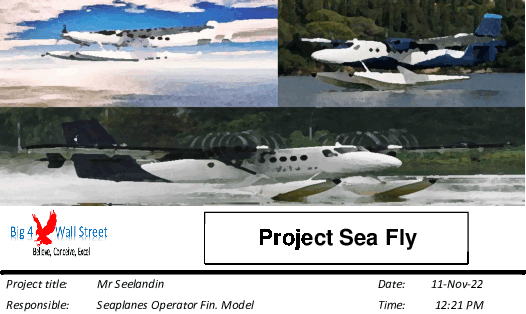 This is a partial preview of Start Up Seaplanes Operator Financial Model (Excel workbook (XLSX)). 