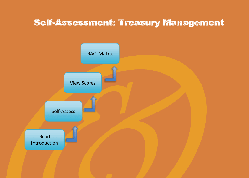 This is a partial preview of Treasury Management - Implementation Toolkit (Excel workbook (XLSX)). 