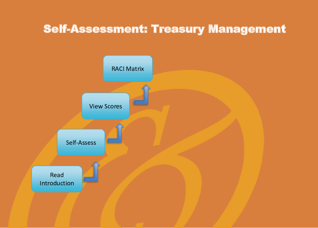 Treasury Management - Implementation Toolkit