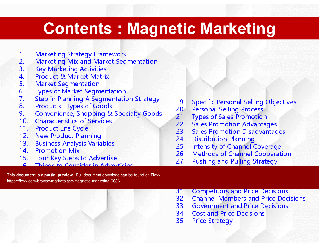This is a partial preview of Magnetic Marketing (76-slide PowerPoint presentation (PPTX)). Full document is 76 slides. 