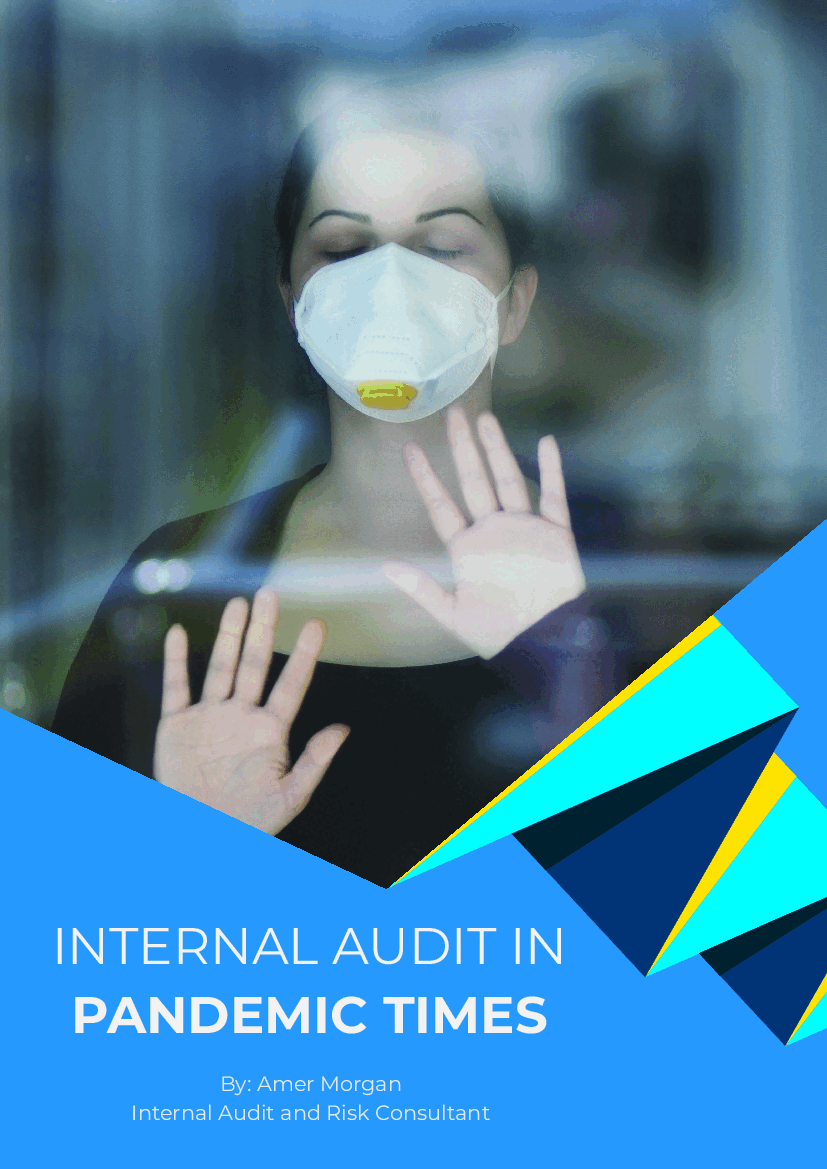 This is a partial preview of Internal Audit in Pandemic Times (14-page PDF document). Full document is 14 pages. 
