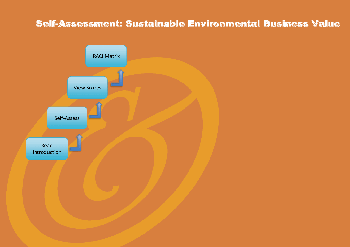 Sustainable Environmental Business Value - Implementation Toolkit