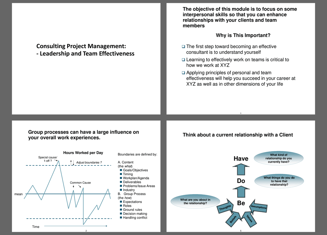 Consulting Project Management Leadership & Team Effectiveness (51-slide PPT PowerPoint presentation (PPT)) Preview Image