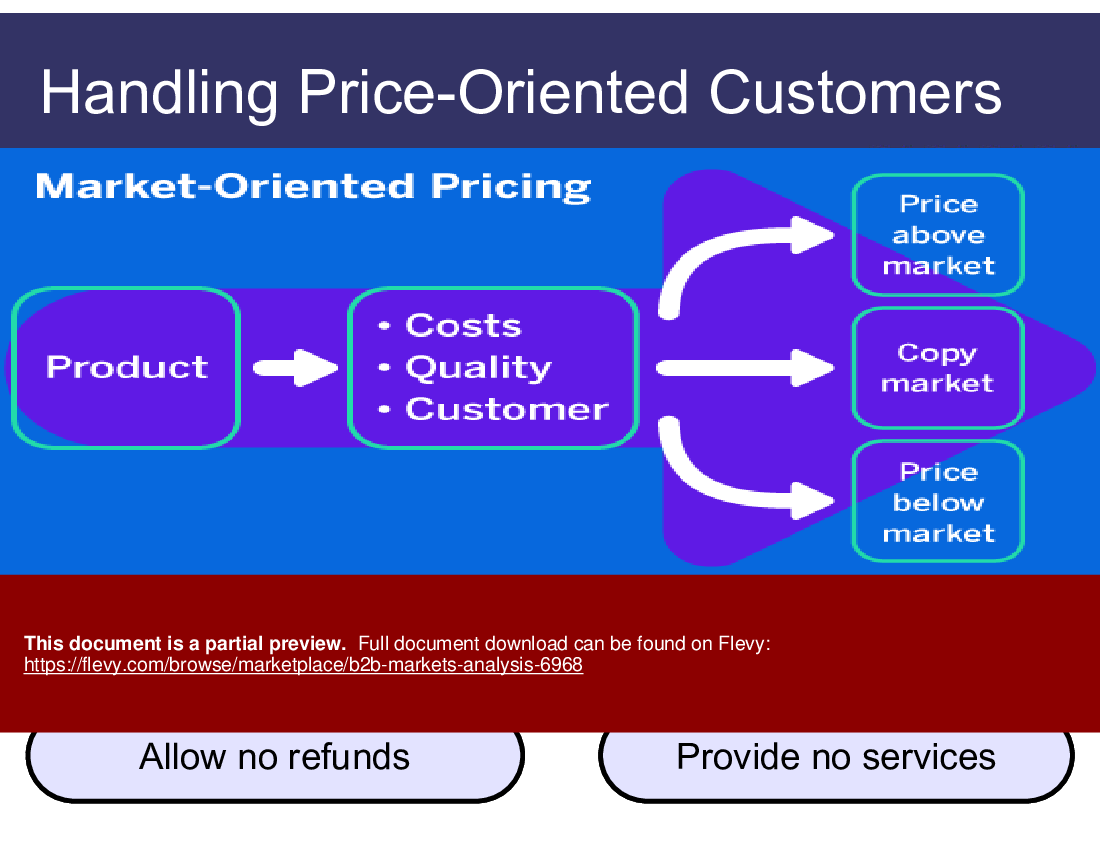 B2B Markets Analysis (41-slide PPT PowerPoint presentation (PPT)) Preview Image