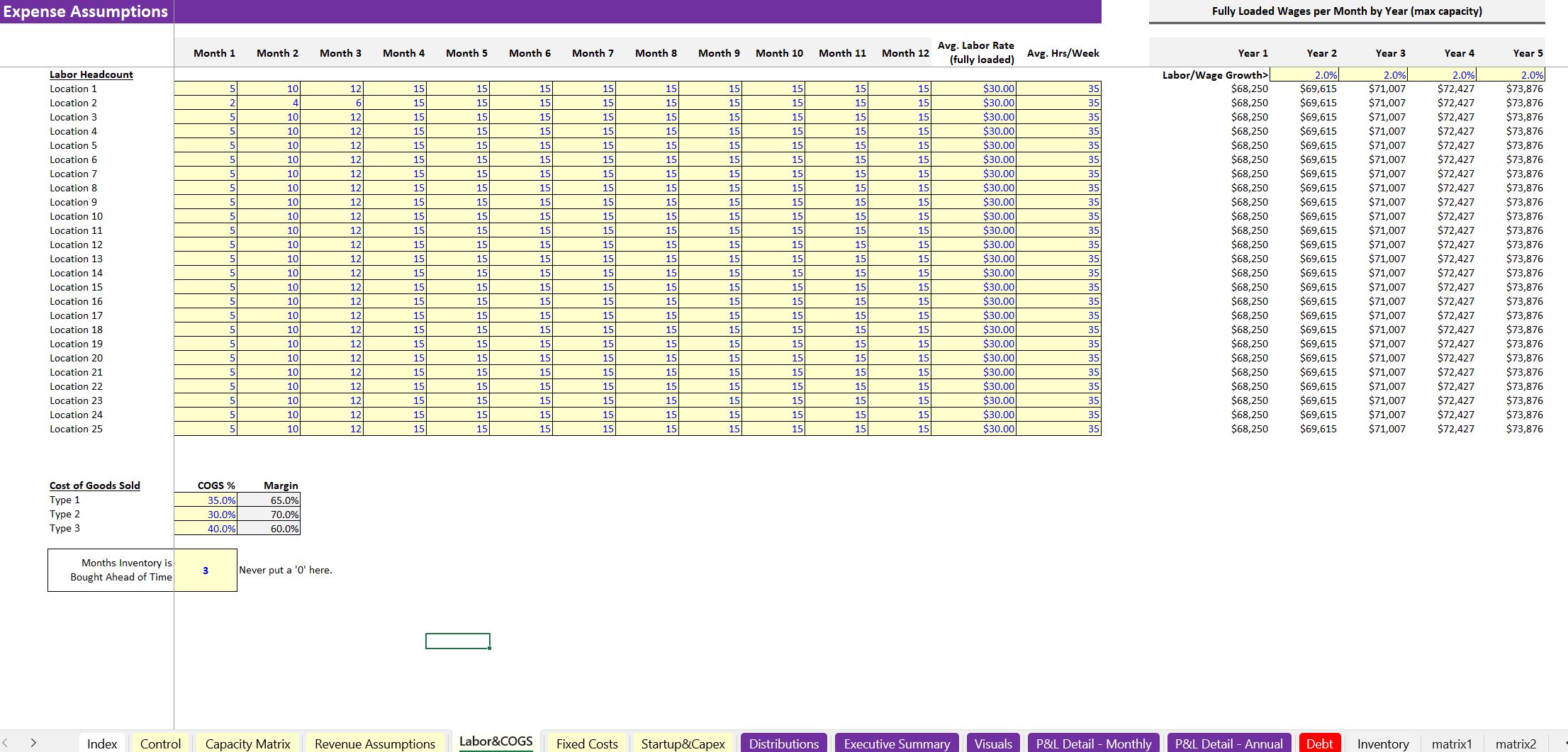 Scaling Up to 25 Retail Locations: Financial Model (Excel workbook (XLSX)) Preview Image
