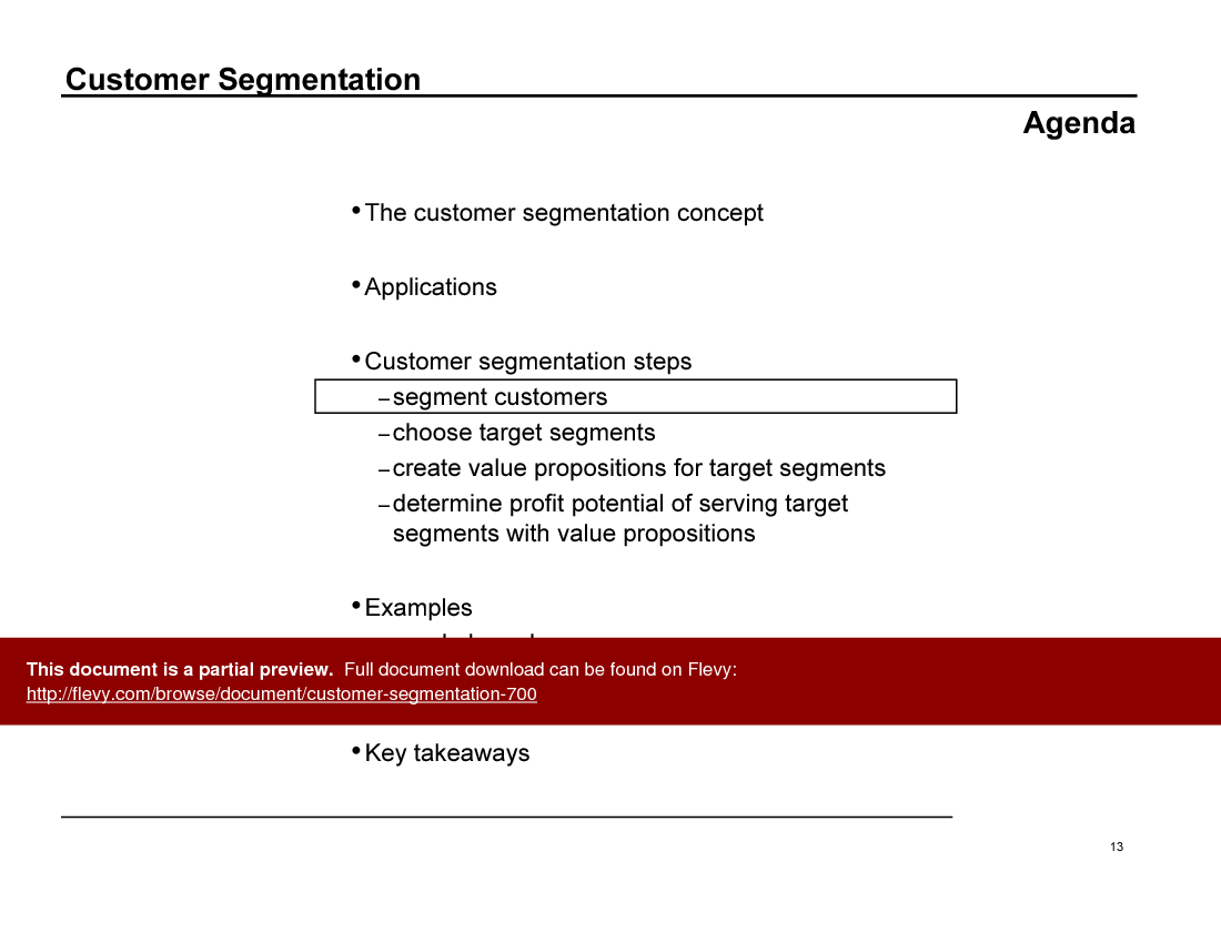 This is a partial preview of Customer Segmentation (47-slide PowerPoint presentation (PPT)). Full document is 47 slides. 