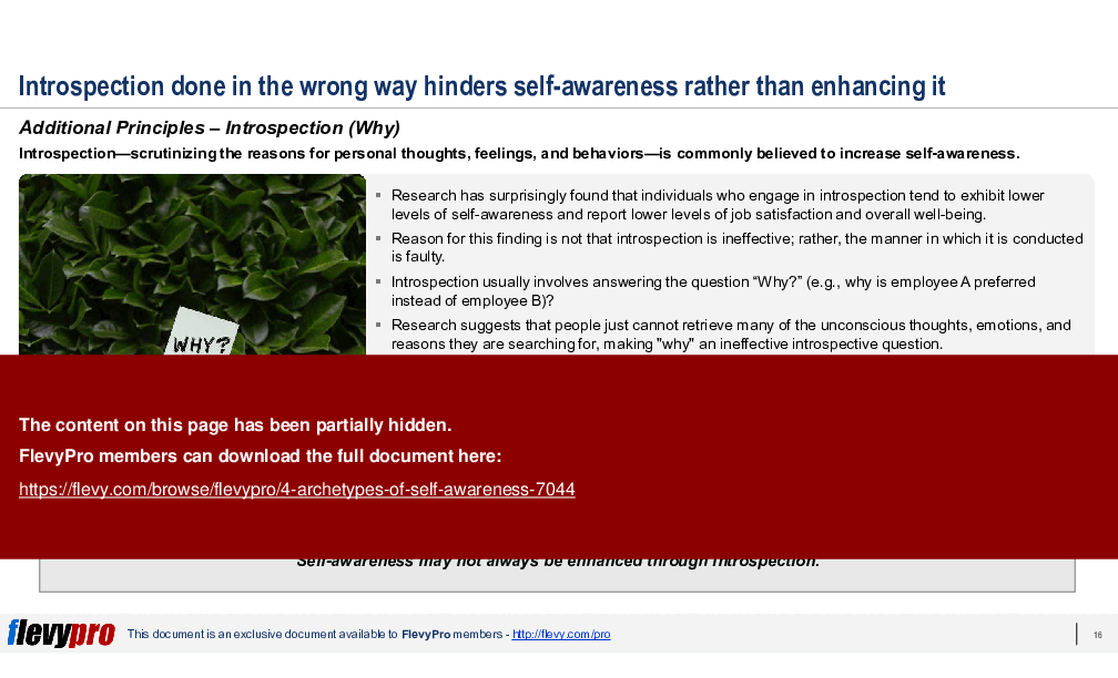 4 Archetypes of Self-awareness (28-slide PPT PowerPoint presentation (PPTX)) Preview Image