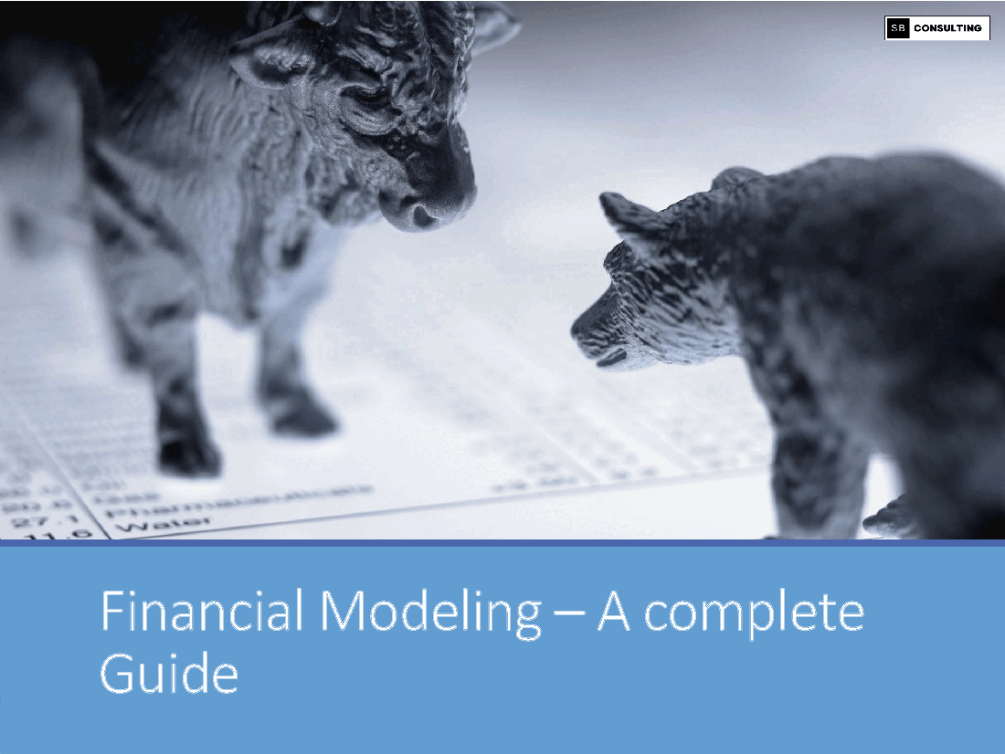 Financial Modeling Guide