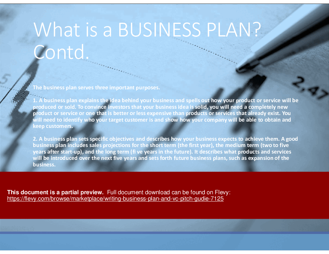 Writing Business Plan and VC Pitch Guide (134-slide PPT PowerPoint presentation (PPTX)) Preview Image
