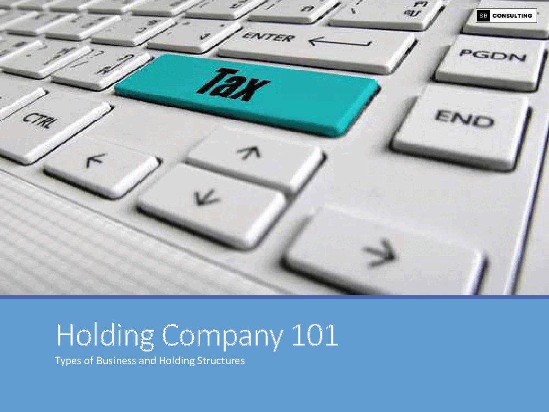 Holding Company 101 - Guide (80-slide PowerPoint presentation (PPTX)) Preview Image