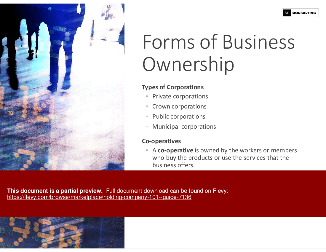 Holding Company 101 - Guide (80-slide PowerPoint presentation (PPTX)) Preview Image