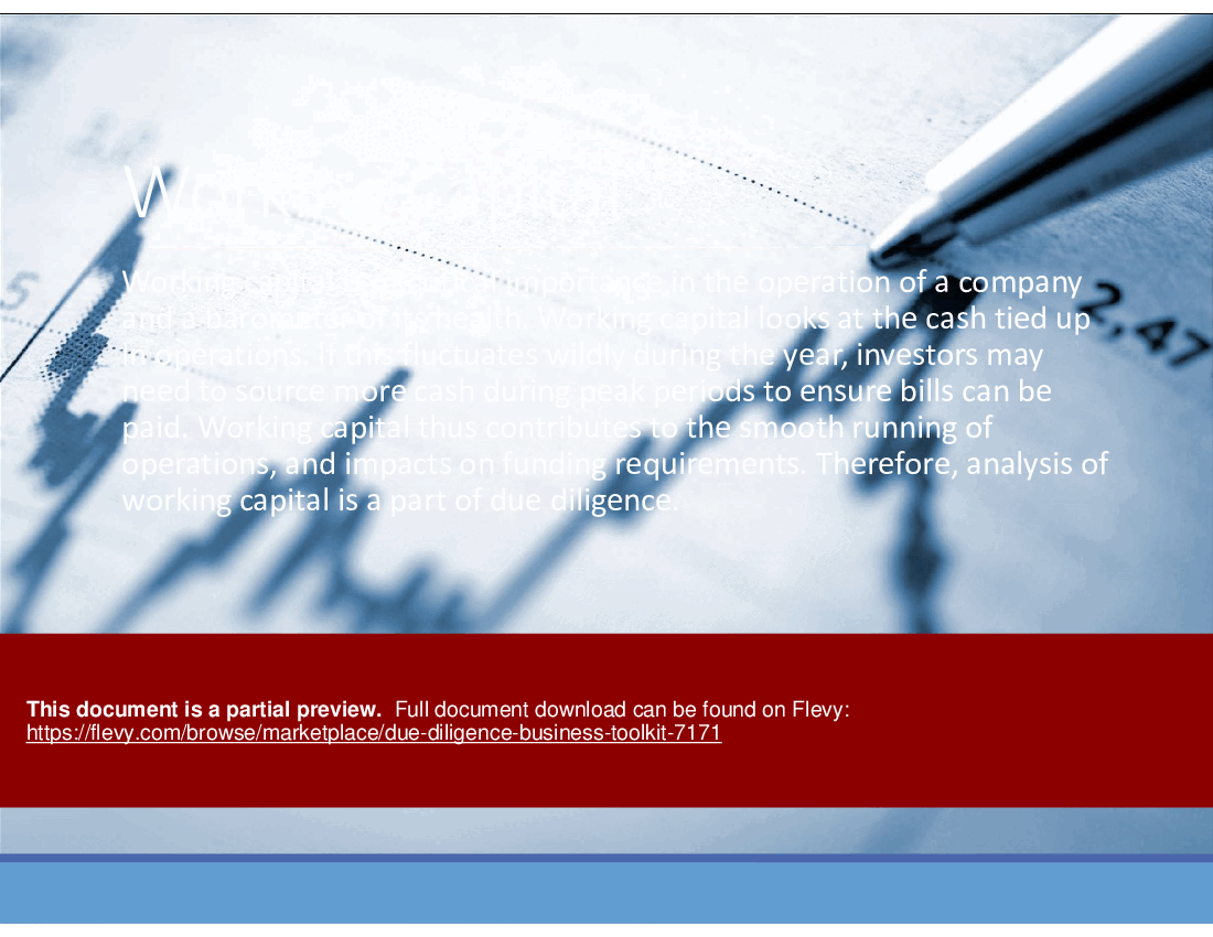 Due Diligence Business Toolkit (183-slide PowerPoint presentation (PPTX)) Preview Image
